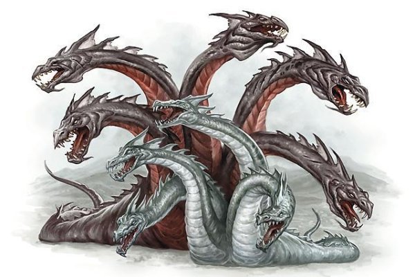 Http kraken