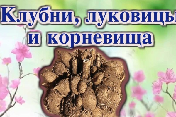 Взломали аккаунт на кракене что делать